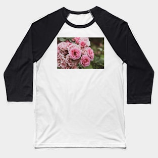 Beautiful Pastel Pink Garden Roses Baseball T-Shirt